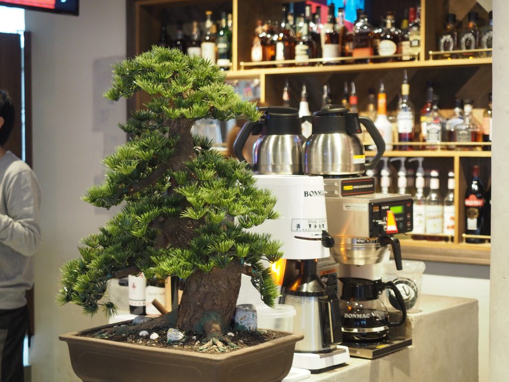 盆栽が置かれたキッチン