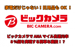 ビックカメラで家電・パソコン・文房具を購入してANAマイルが5~8%も貯まるのは見逃せない