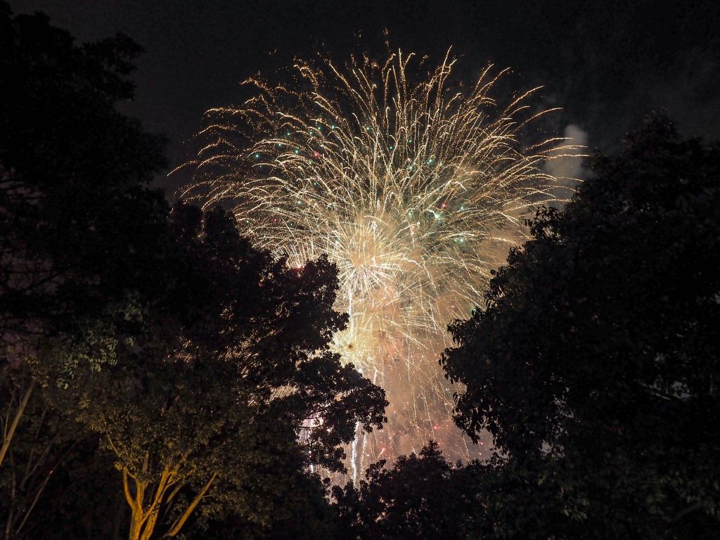 残念なことにメインの花火が後方で上がる