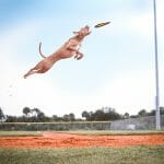 チャンスを引き寄せて一気に運が良くなる方法は3つの生活習慣にあった