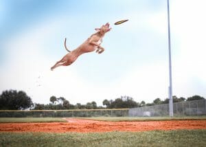チャンスを引き寄せて一気に運が良くなる方法は3つの生活習慣にあった